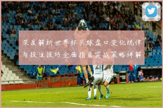 深度解析世界杯买球盘口变化规律与投注技巧全面指南实战策略详解