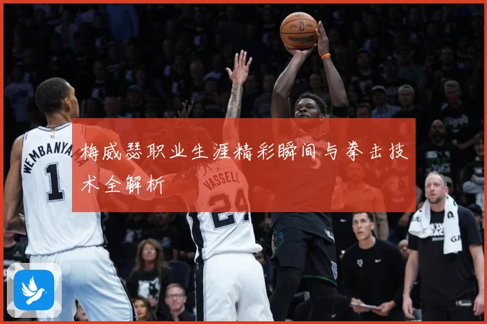 梅威瑟职业生涯精彩瞬间与拳击技术全解析