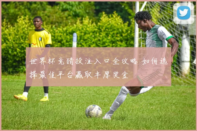 世界杯竞猜投注入口全攻略 如何选择最佳平台赢取丰厚奖金