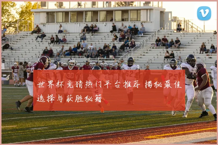 世界杯竞猜热门平台推荐 揭秘最佳选择与获胜秘籍