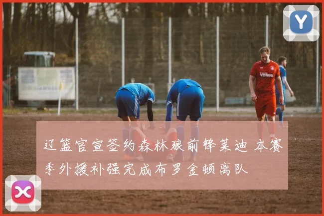 辽篮官宣签约森林狼前锋莱迪 本赛季外援补强完成布罗金顿离队